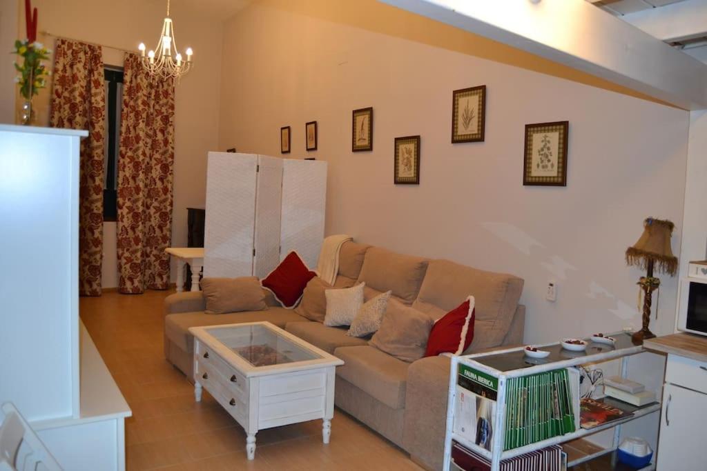 Loft en el centro de Sevilla - 2