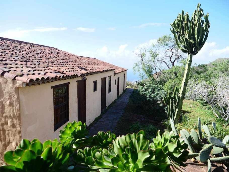 Un edificio con muchas plantas en el frente. en Casa rural cerca de la costa de La Laguna, en La Laguna