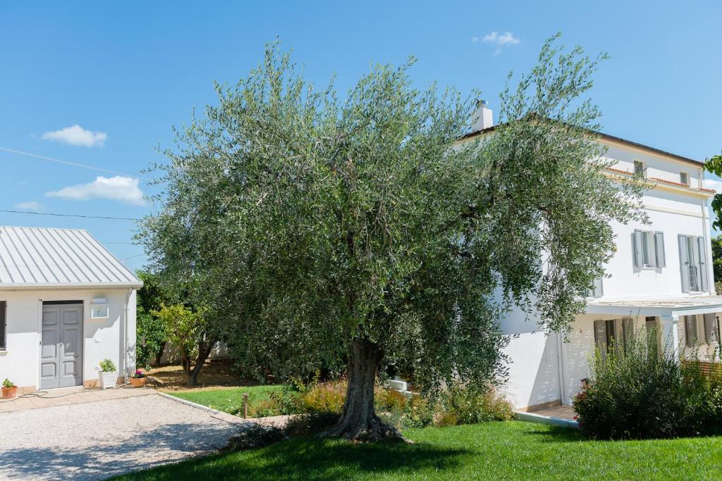 Zahrada ubytování B&B Casale Savini