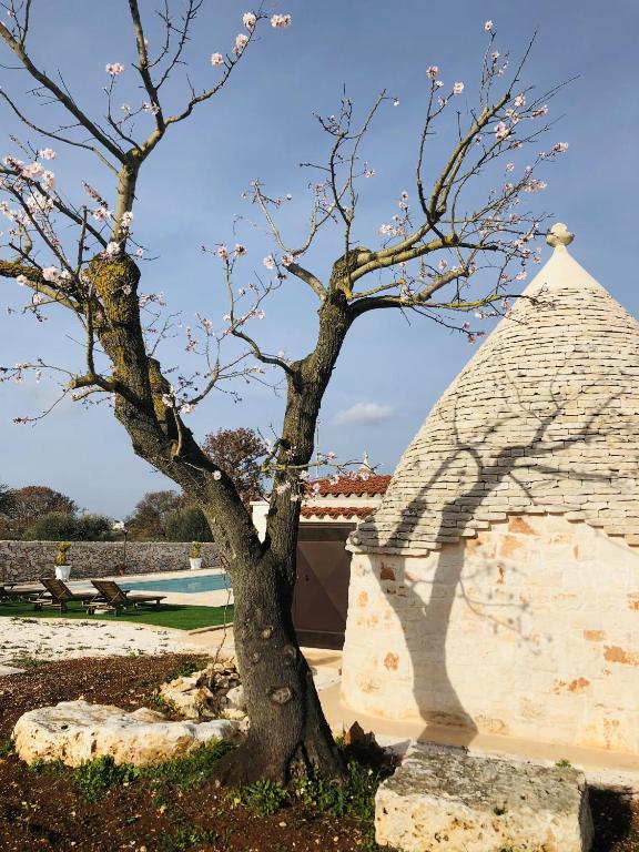 i Trulli del Fauno - 16