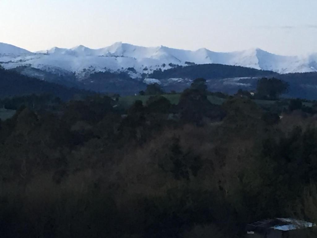 a view of a mountain range with trees at Posada La Vieja Escuela in La Revilla