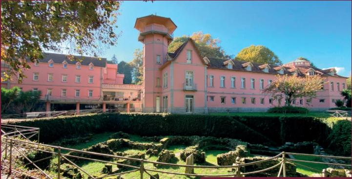 ein großes rosafarbenes Gebäude mit einem Turm darüber in der Unterkunft Palace Hotel & Spa - Termas de Sao Vicente in Penafiel