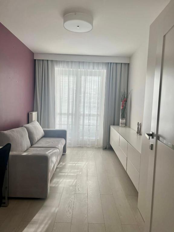 Spanko w centrum - 15