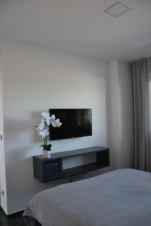 TV a/nebo společenská místnost v ubytování Apartmany u Polanských
