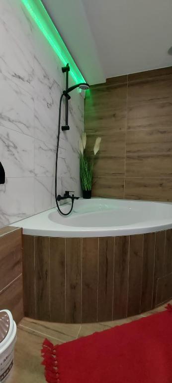 Apartmani Remete - 19