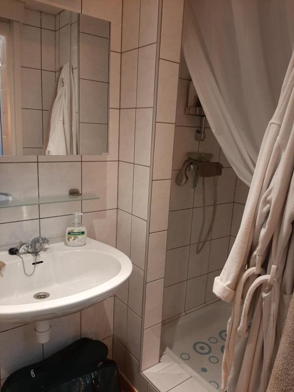 a bathroom with a sink and a shower at De Bosdreef - Hengelhoef - duplex met verwarmd openluchtzwembad in Aan de Wolfsberg