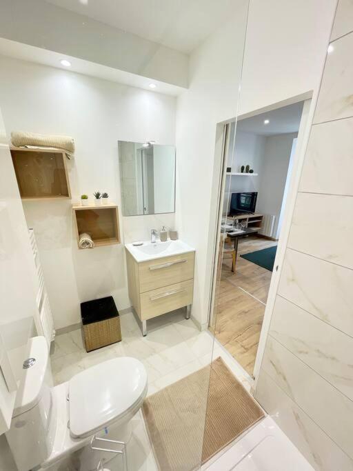 łazienka z prysznicem, toaletą i umywalką w obiekcie Hyper centre appartement Cosy WIFI w mieście Rodez