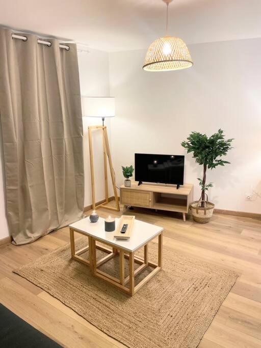 TV a/nebo společenská místnost v ubytování / Cocon \ paisible hyper centre RODEZ