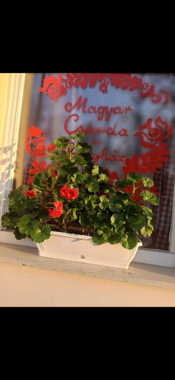 Fotografie z fotogalerie ubytování Magyar Csárda és Vendégház v Harkánech