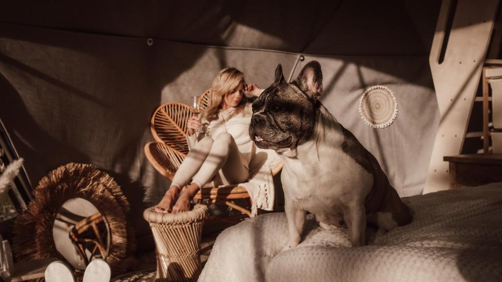 Domácí mazlíčci ubytovaní s hosty v ubytování Salinko Glamping