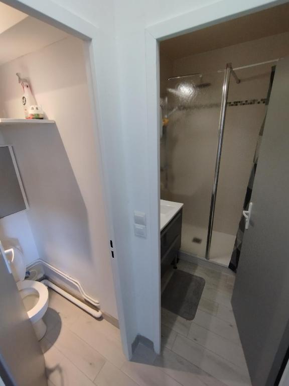 La salle de bains est pourvue d'une douche et de toilettes. dans l'établissement Le charme de Cabourg, à Cabourg