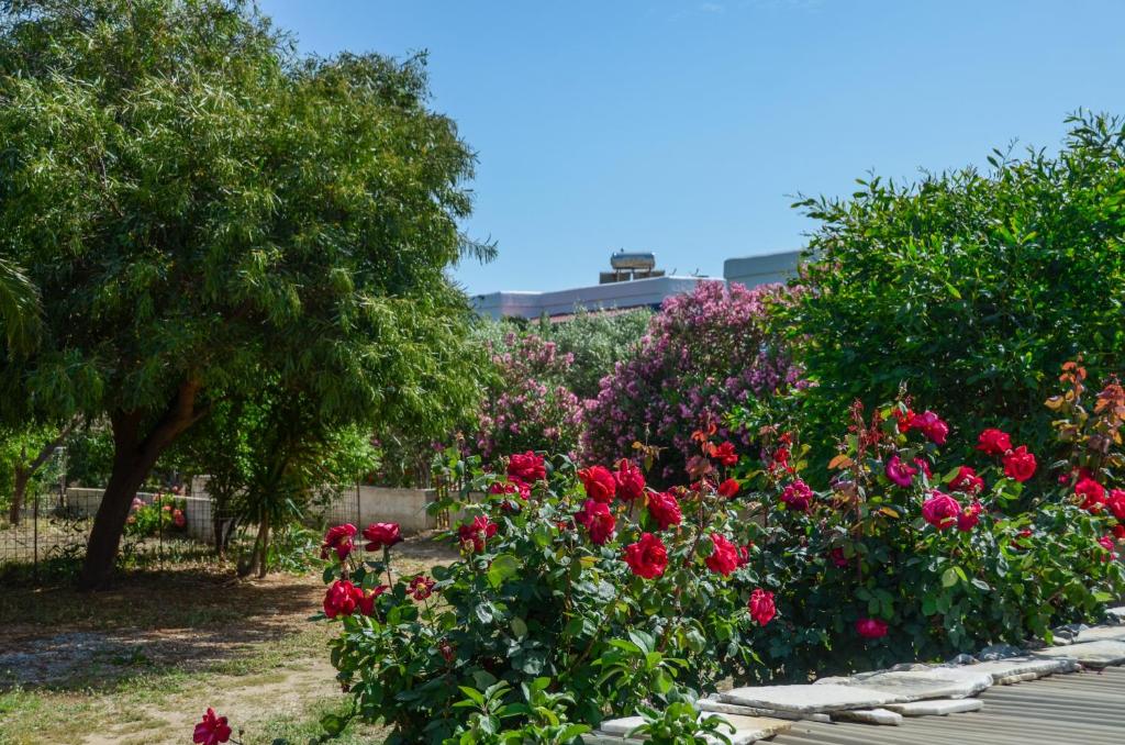 Zahrada ubytování Golden Beach Glyfada Studios