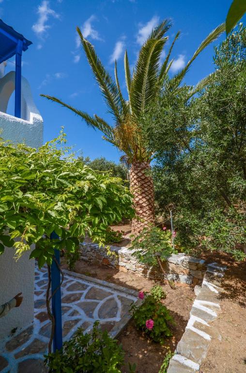 Zahrada ubytování Golden Beach Glyfada Studios