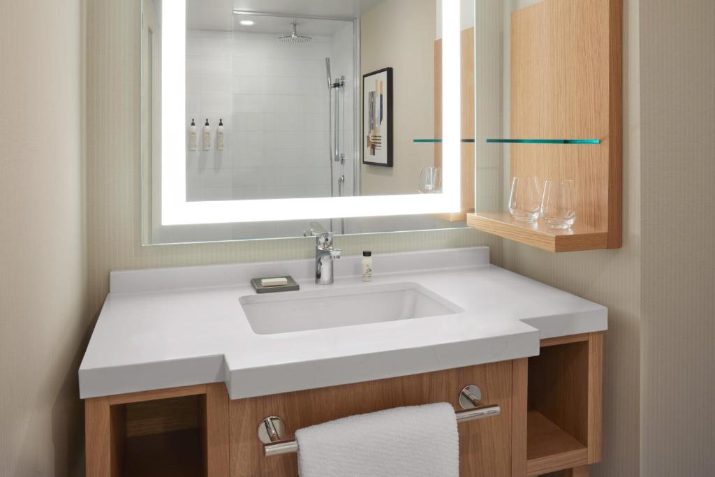 Delta Hotels Calgary Airport In-Terminalにあるバスルーム
