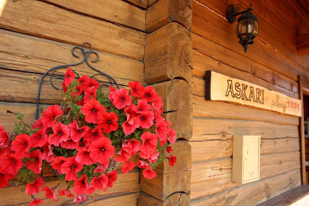 Banda czerwonych kwiatów wiszących na ścianie w obiekcie Askari puhkemaja w mieście Räni