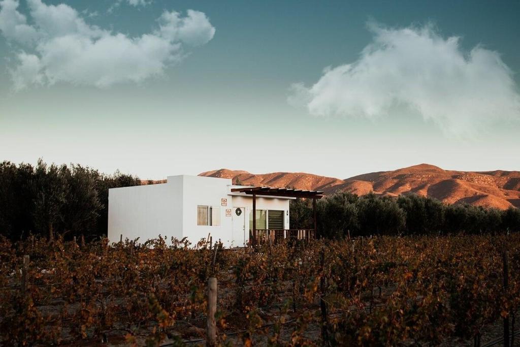 una pequeña casa blanca en medio de un campo en Casa Colibri @ Guadalupe Valley, en Valle de Guadalupe