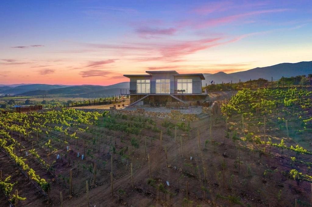 una casa en la cima de una colina con un viñedo en Buena Vista Valle de Guadalupe, en El Porvenir