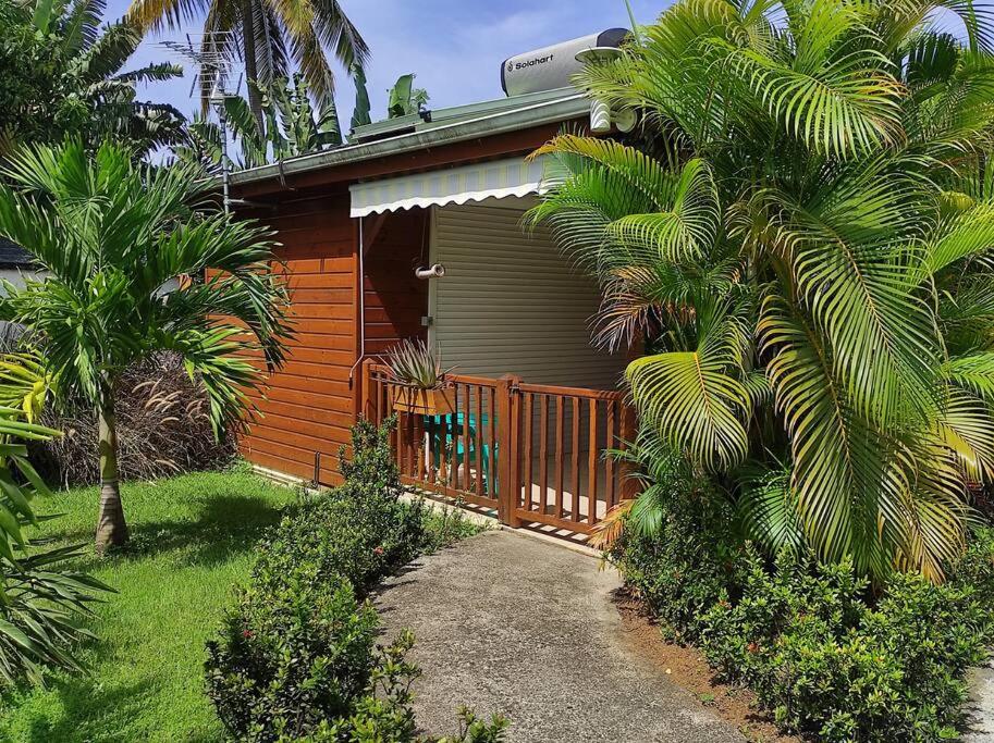 a house with a fence and palm trees in front of it at Le tri Haut de Bellevue - Bungalow Manguier in Pointe-Noire