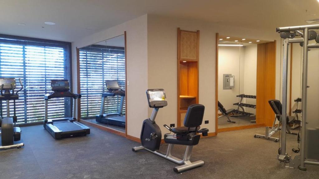 Fitness centrum a/nebo fitness zařízení v ubytování Hotel Indigo - Galapagos by IHG