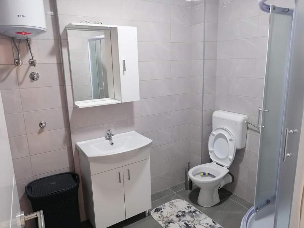 ein Badezimmer mit einem WC, einem Waschbecken und einem Spiegel in der Unterkunft Apartman Nomino in Zvornik