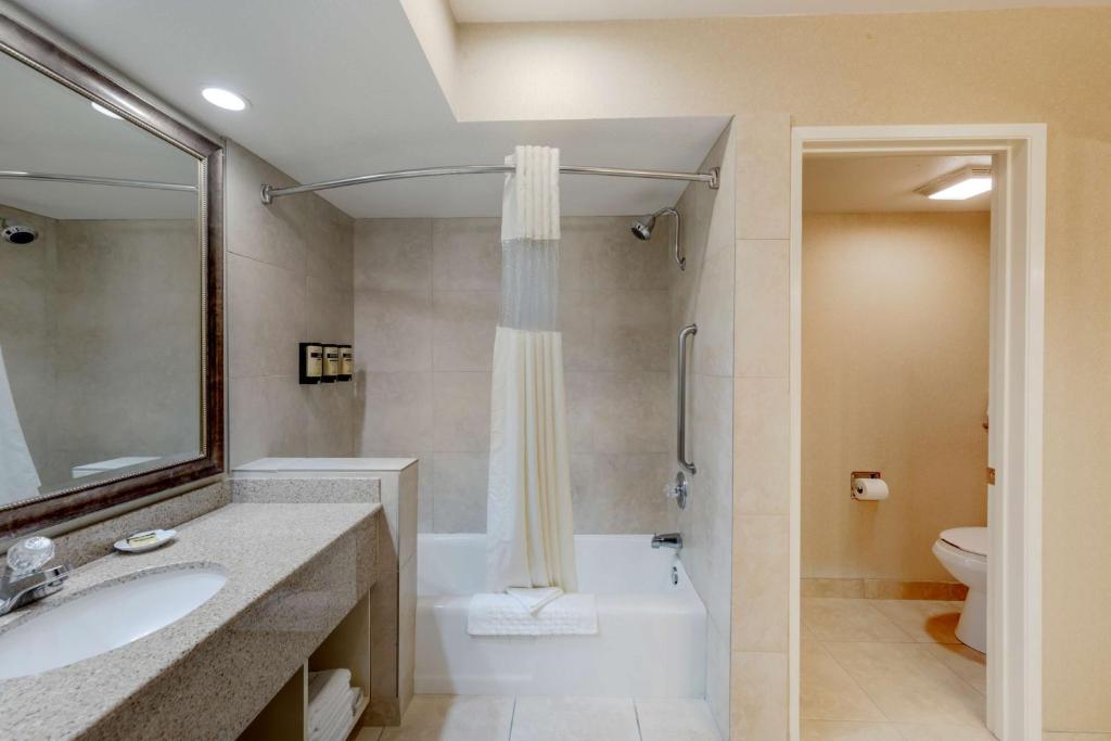 Een badkamer bij Best Western Plus Big America
