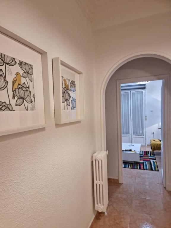 Casa Roman SPORT - 18