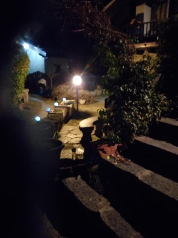 Zahrada ubytování Casa Mimosa