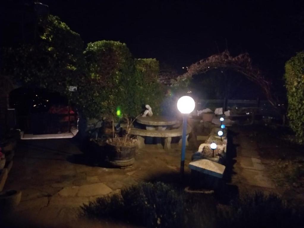 Zahrada ubytování Casa Mimosa