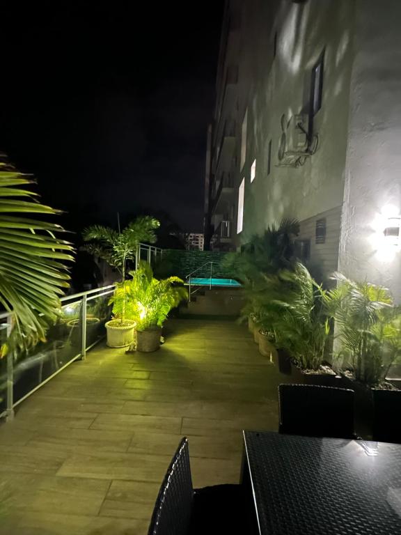 a patio at night with a bunch of plants at Boca Chica Luxury apartment in Boca Chica