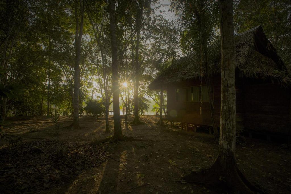 una cabaña en el bosque con el sol brillando entre los árboles en Majacho`s House en Puerto Maldonado
