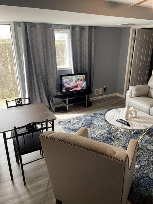 Modern one bedroom apartment, Princes Bay Aktualisierte Preise für 2024