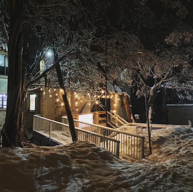 佛斯奎克山的住宿－Lakeside Falls Creek，一座有灯光的建筑,在雪中