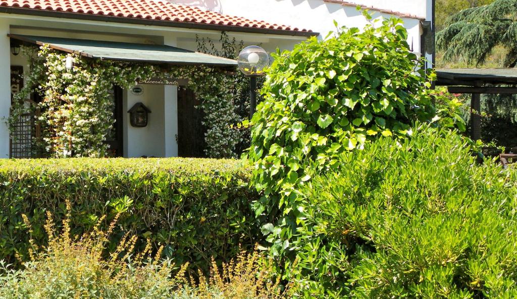 A garden outside Hotel Il Caminetto