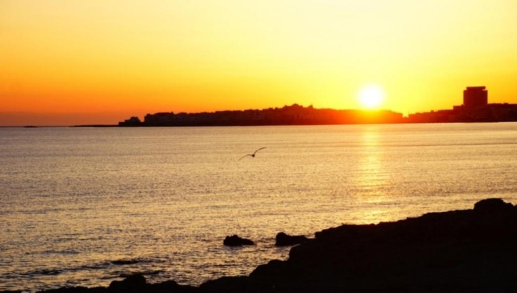 a bird flying over the ocean at sunset at Appartamento Eucalpti Baia Verde By Nonsolomare Case Vacanze srlu in Baia Di Gallipoli