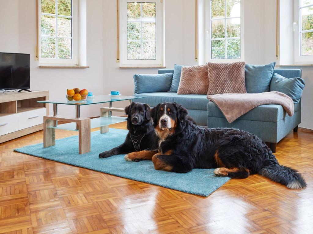 - deux chiens posés sur un tapis dans le salon dans l'établissement Die Landgräfinnen Ferienwohnung, à Schwalmstadt