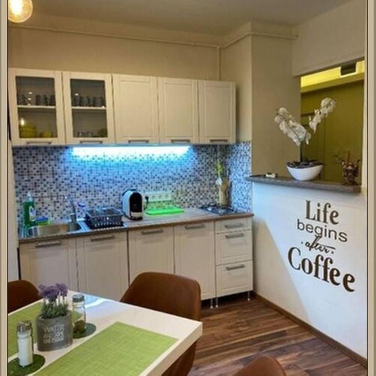 A kitchen or kitchenette at Ariel apartman