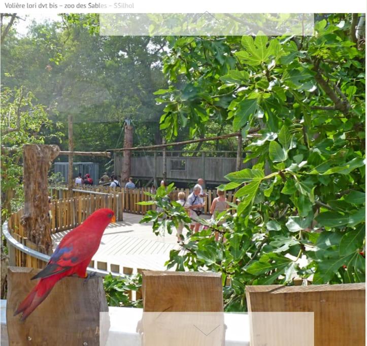 Vonkajšia záhrada v ubytovaní La Goélette Jolie maison de pêcheur à 2 pas de la Grande Plage
