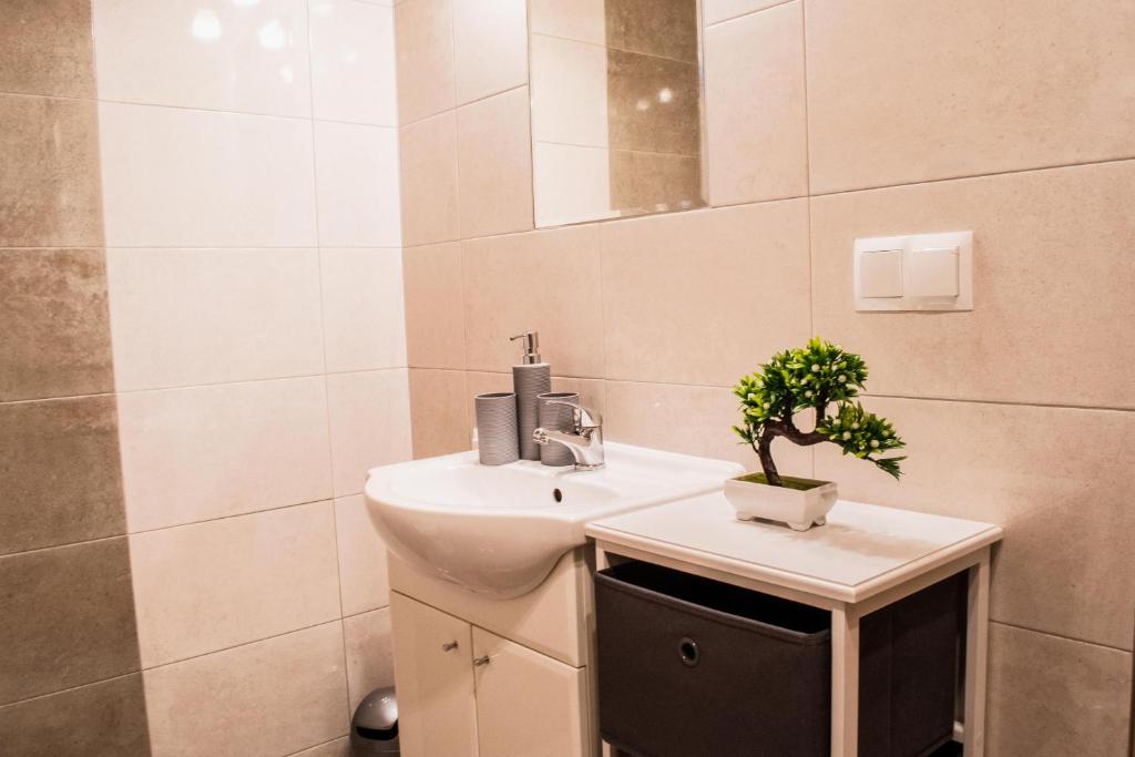 Kúpeľňa v ubytovaní Apartamenty Dwupoziomowe u Ciotki