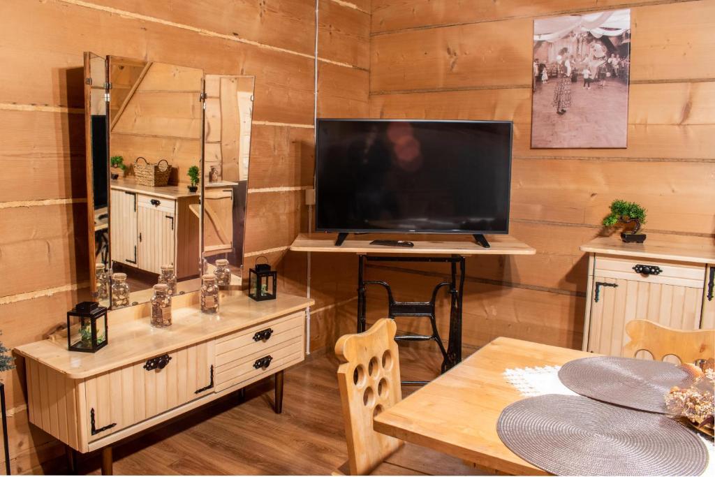 Televízia a/alebo spoločenská miestnosť v ubytovaní Apartamenty Dwupoziomowe u Ciotki