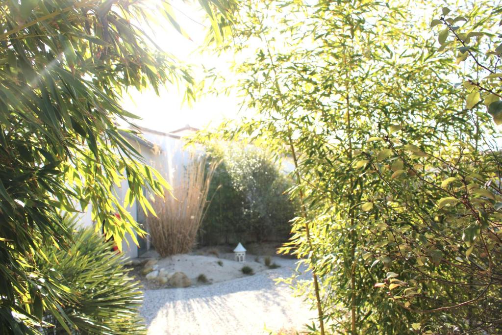 a view of a garden from behind some trees at Fleur de Ré in Loix
