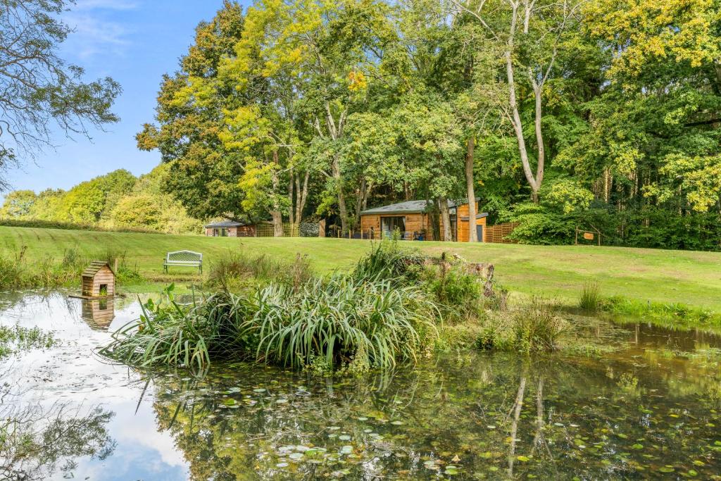 a cabin in the woods next to a pond at Ivy Cottage Holiday Cabins in Southampton