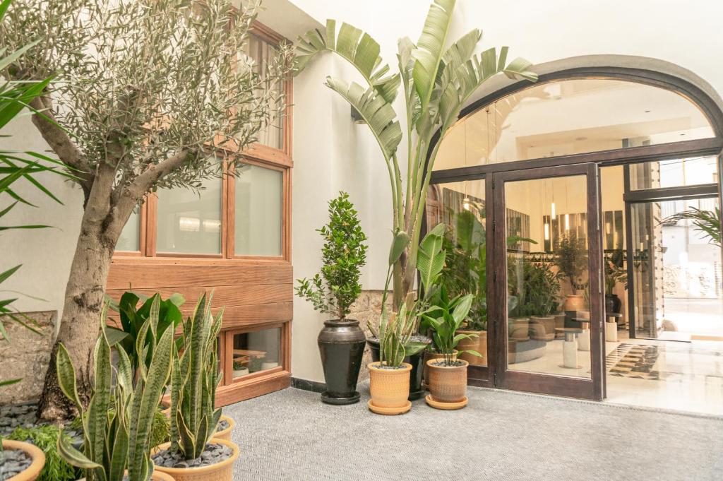 The Valentia Corretgería - Resim 23