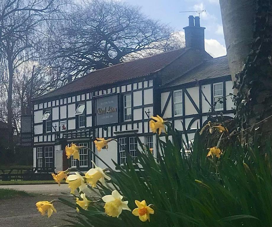 un edificio bianco e nero con fiori gialli davanti di Red Lion Coaching Inn a Redbourne