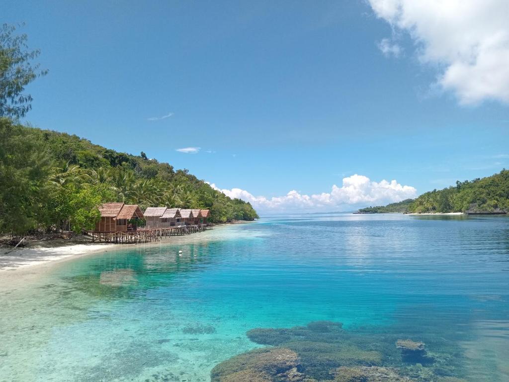 a view of a beach with houses and the water at Meos Ambower Homestay Raja Ampat in Fam