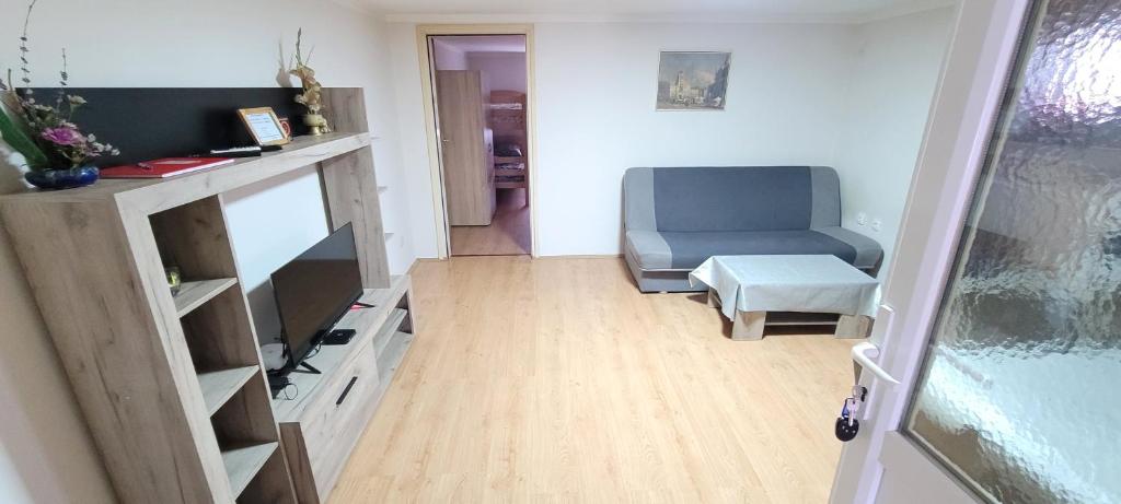 TV a/nebo společenská místnost v ubytování Apartman Progresso