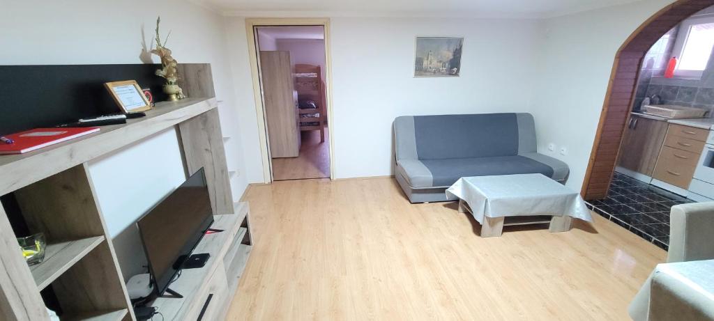 TV a/nebo společenská místnost v ubytování Apartman Progresso