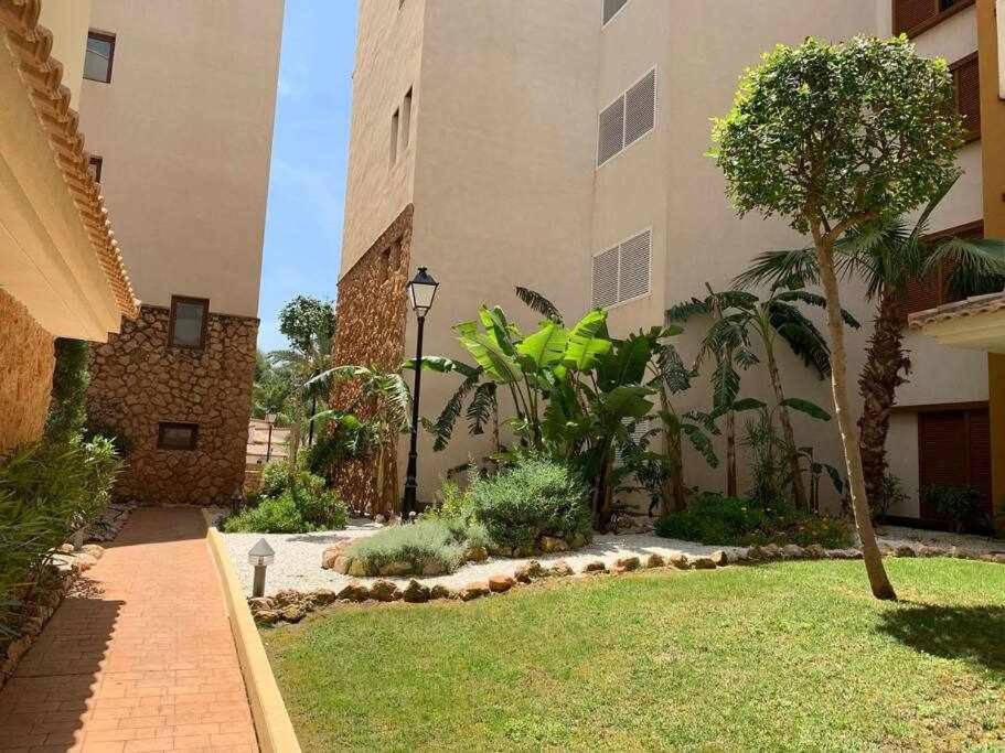 Zahrada ubytování Magnífico apartamento a 500 m de la playa