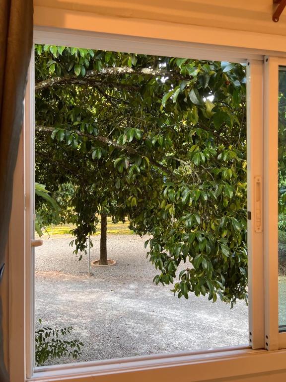 Zahrada ubytování Naisang Hostel