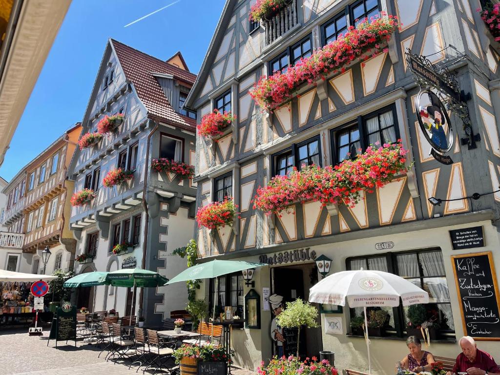 un grupo de edificios con flores en ellos en Gästehaus Klingler, en Besigheim