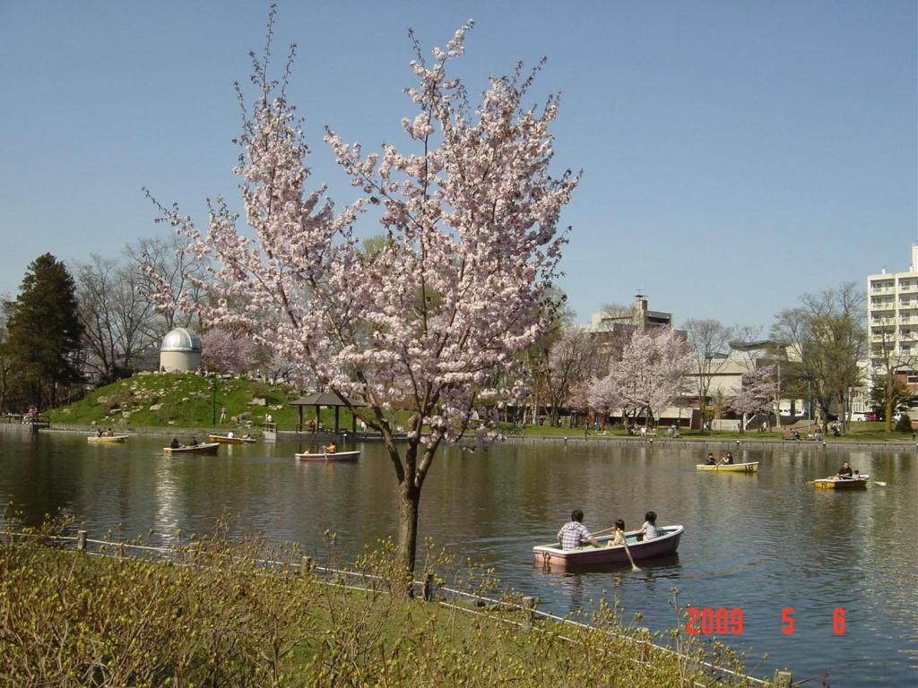 dwoje ludzi w łodzi na jeziorze z drzewem w obiekcie Mimatsuso Ryokan w mieście Asahikawa